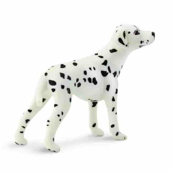 Figura-DALMATA-Mejores-Perros-de-Exposicion-2