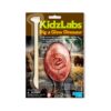 KIDZLABS-DIG-A-GLOW-DINOSAUR-ESCAVAR-UN-DINOSAURIO-QUE-BRILLA-4M-LABORATORIO-INFANTIL