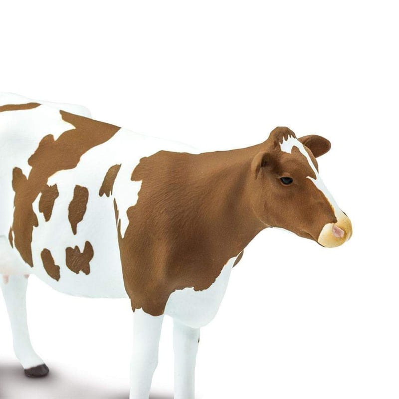 Poderosos imanes de vaca de Alnico de barra Fabricantes, proveedores -  Venta directa de fábrica al por mayor - BearHeart